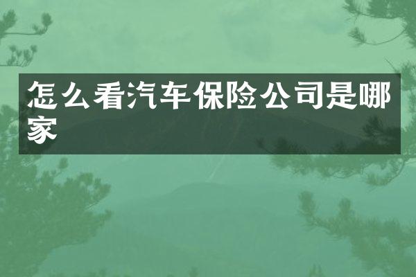 怎么看汽车保险公司是哪家