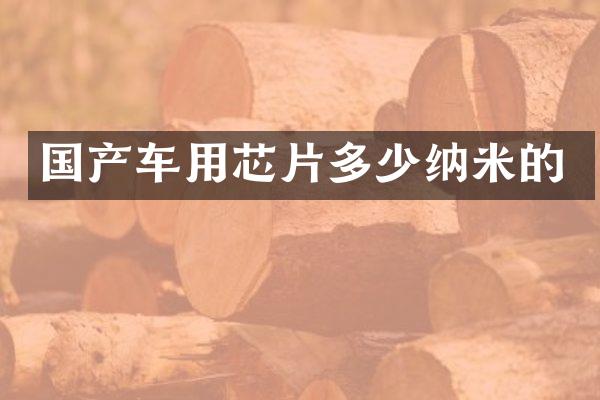 国产车用芯片多少纳米的