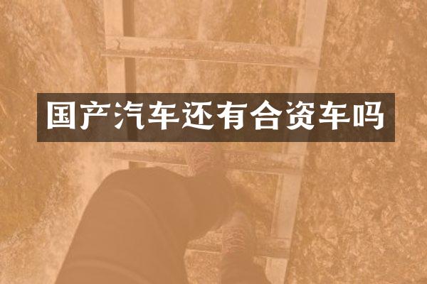 国产汽车还有合资车吗