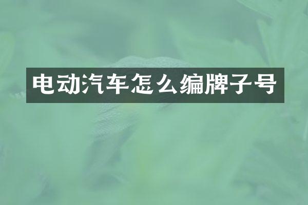 电动汽车怎么编牌子号