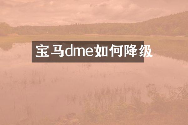 宝马dme如何降级