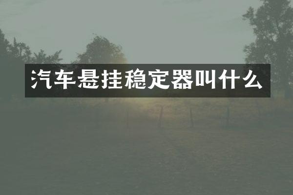 汽车悬挂稳定器叫什么