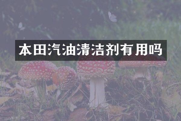 本田汽油清洁剂有用吗