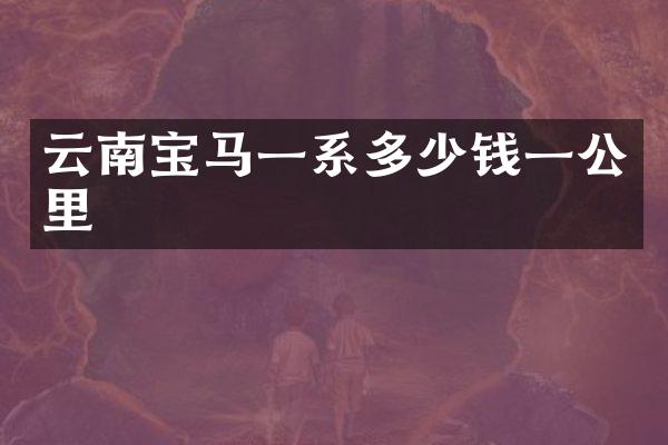 云南宝马一系多少钱一公里
