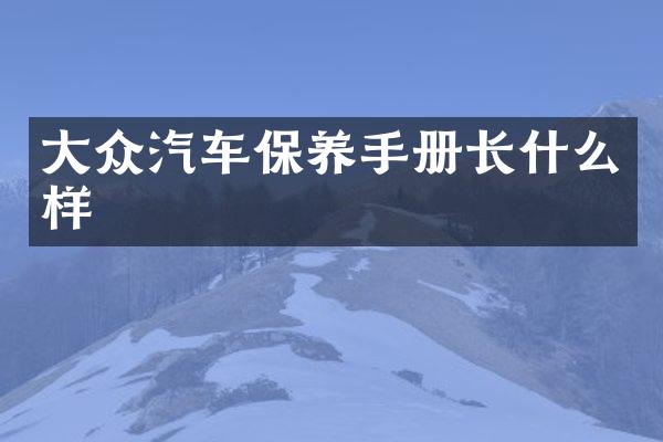大众汽车保养手册长什么样