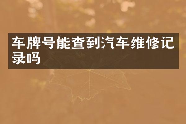 车牌号能查到汽车维修记录吗