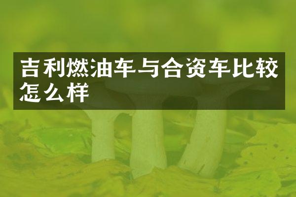 吉利燃油车与合资车比较怎么样