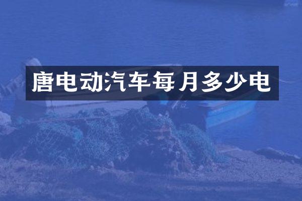 唐电动汽车每月多少电