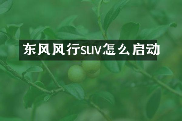 东风风行suv怎么启动