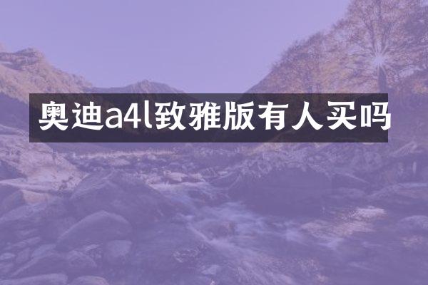 奥迪a4l致雅版有人买吗