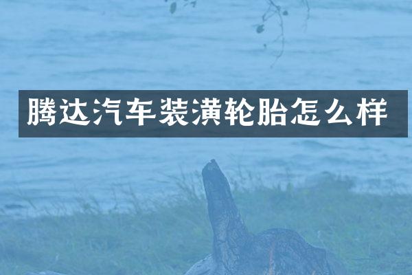 腾达汽车装潢轮胎怎么样