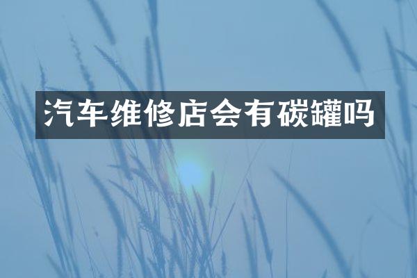 汽车维修店会有碳罐吗