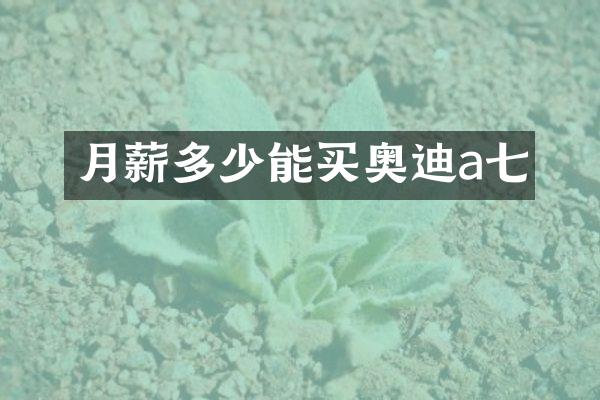 月薪多少能买奥迪a七