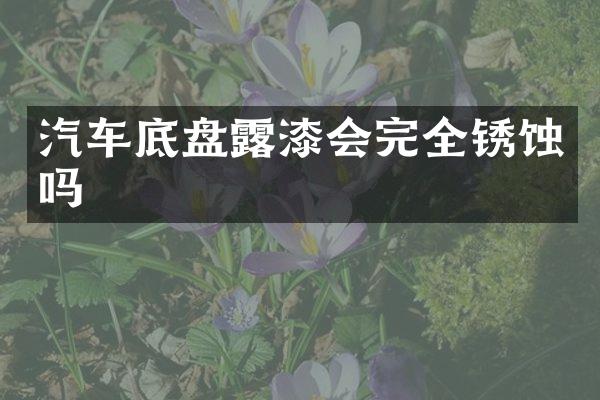 汽车底盘露漆会完全锈蚀吗