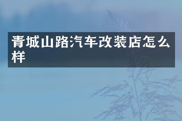 青城山路汽车改装店怎么样