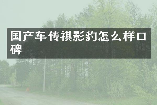 国产车传祺影豹怎么样口碑