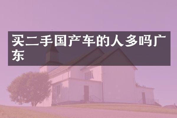 买二手国产车的人多吗广东