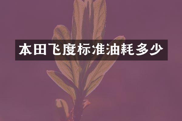 本田飞度标准油耗多少