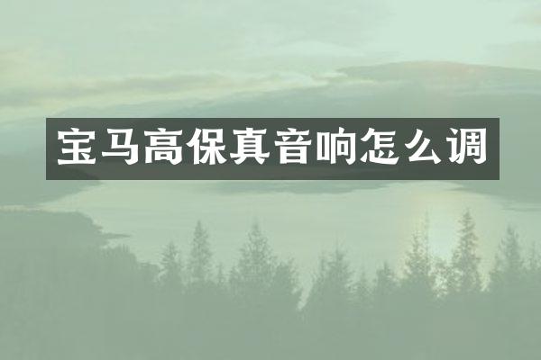 宝马高保真音响怎么调