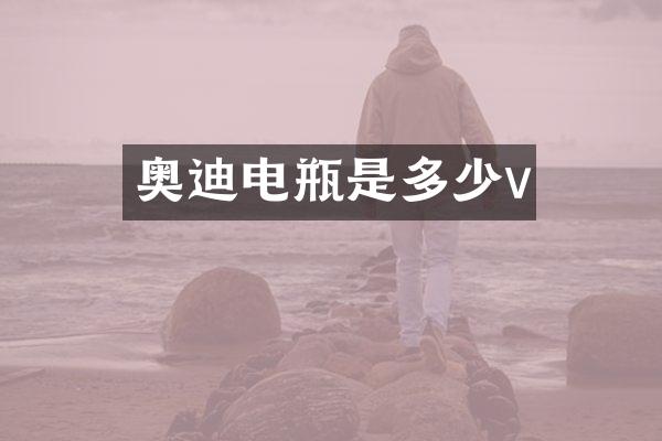 奥迪电瓶是多少v