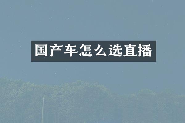 国产车怎么选直播