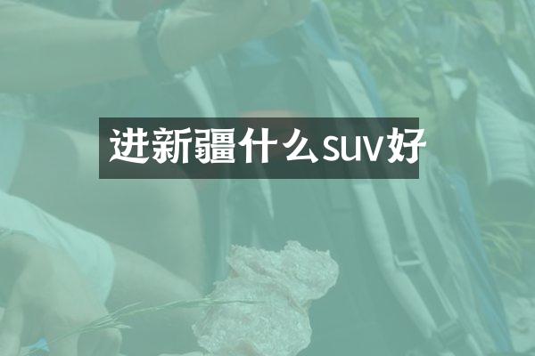 进新疆什么suv好