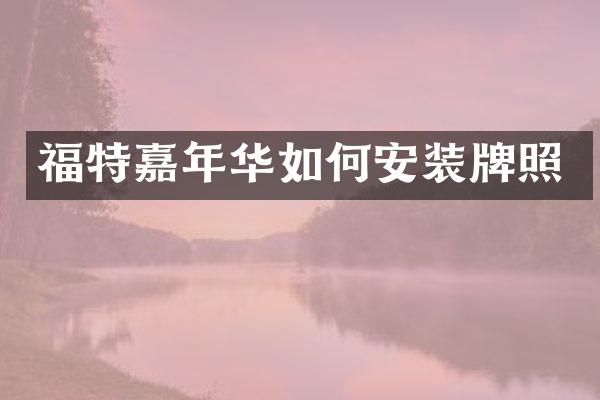 福特嘉年华如何安装牌照