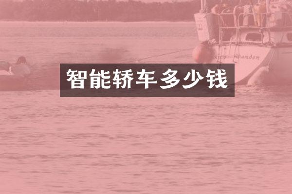 智能轿车多少钱
