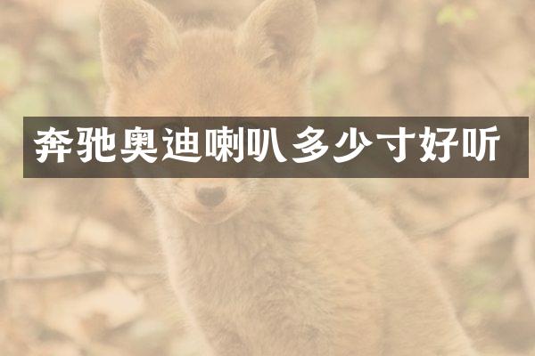 奔驰奥迪喇叭多少寸好听
