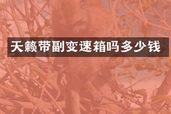 天籁带副变速箱吗多少钱