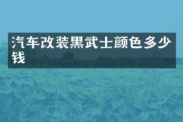 汽车改装黑武士颜色多少钱