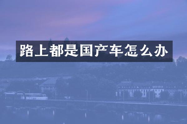 路上都是国产车怎么办