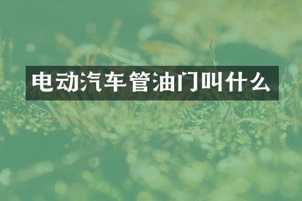 电动汽车管油门叫什么
