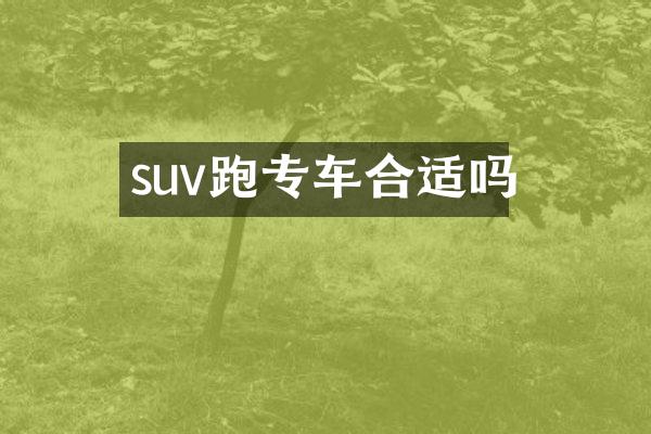 suv跑专车合适吗