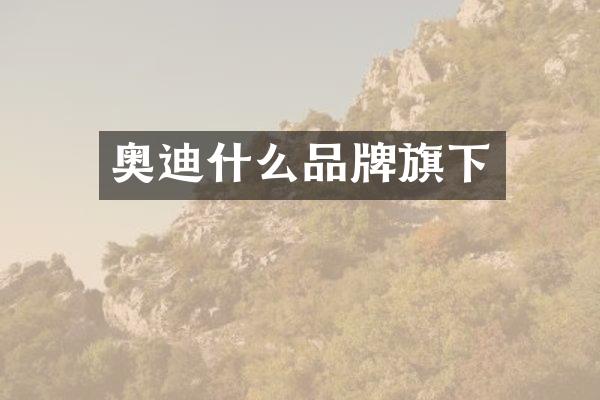 奥迪什么品牌旗下
