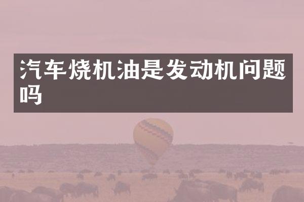汽车烧机油是发动机问题吗