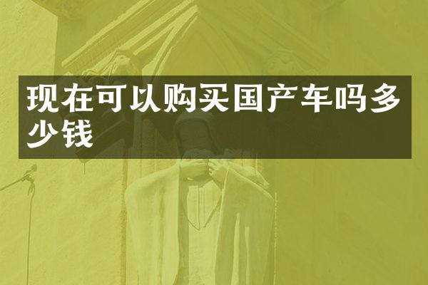 现在可以购买国产车吗多少钱