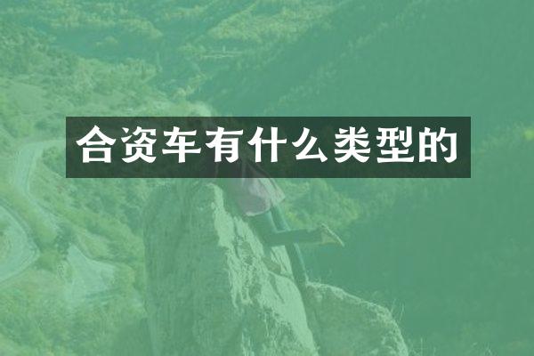 合资车有什么类型的