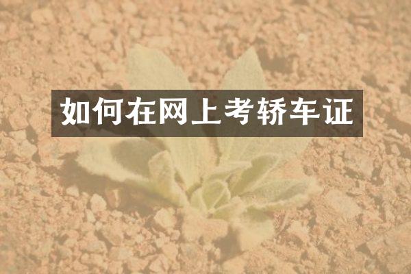 如何在网上考轿车证