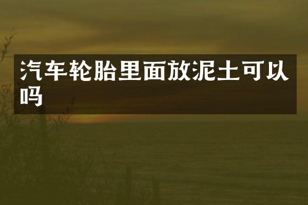 汽车轮胎里面放泥土可以吗