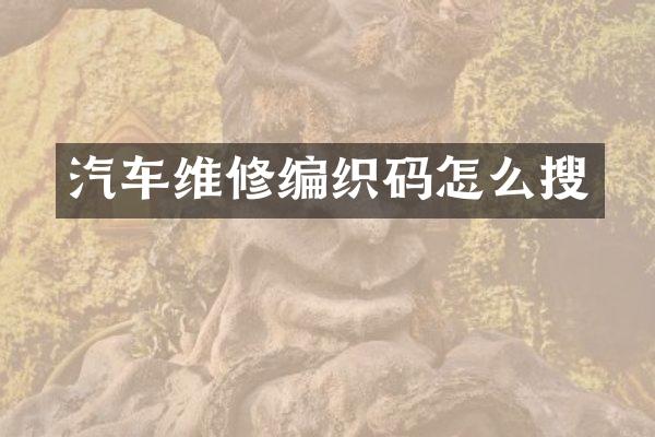 汽车维修编织码怎么搜