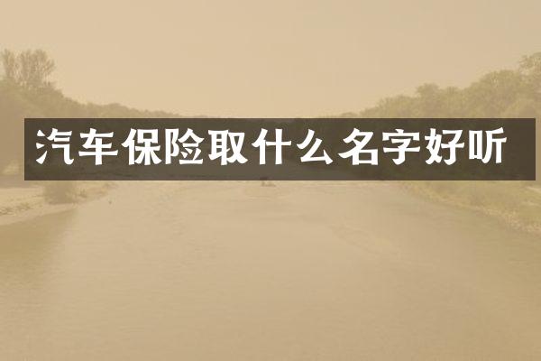 汽车保险取什么名字好听