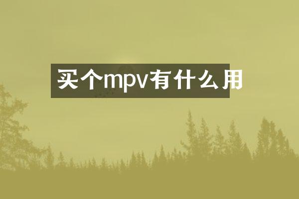 买个mpv有什么用