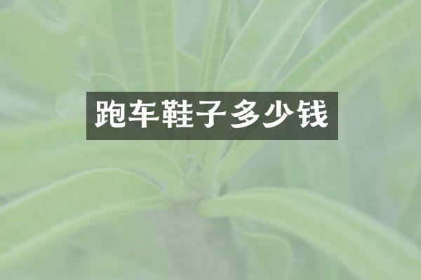 跑车鞋子多少钱