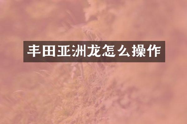 丰田亚洲龙怎么操作
