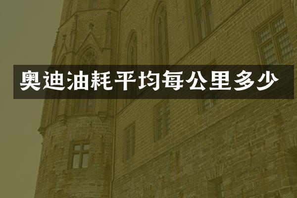 奥迪油耗平均每公里多少