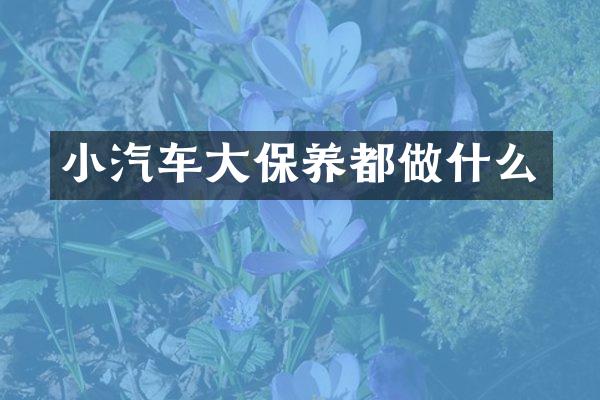 小汽车大保养都做什么