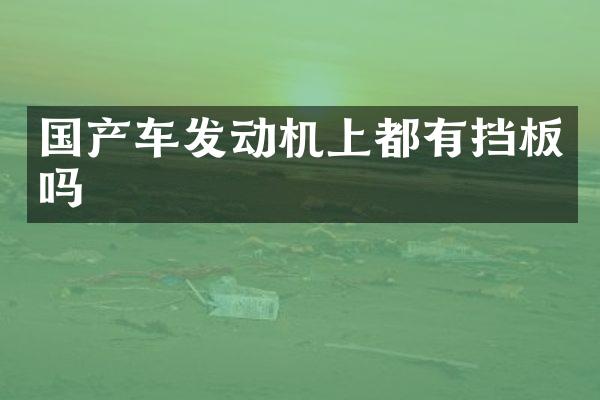 国产车发动机上都有挡板吗