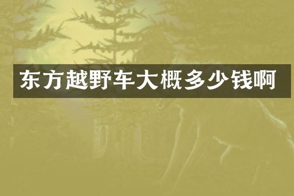 东方越野车大概多少钱啊