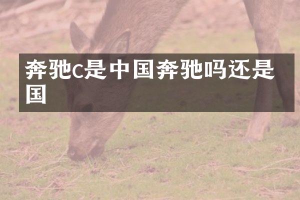 奔驰c是中国奔驰吗还是美国
